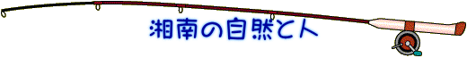 湘南の自然と人